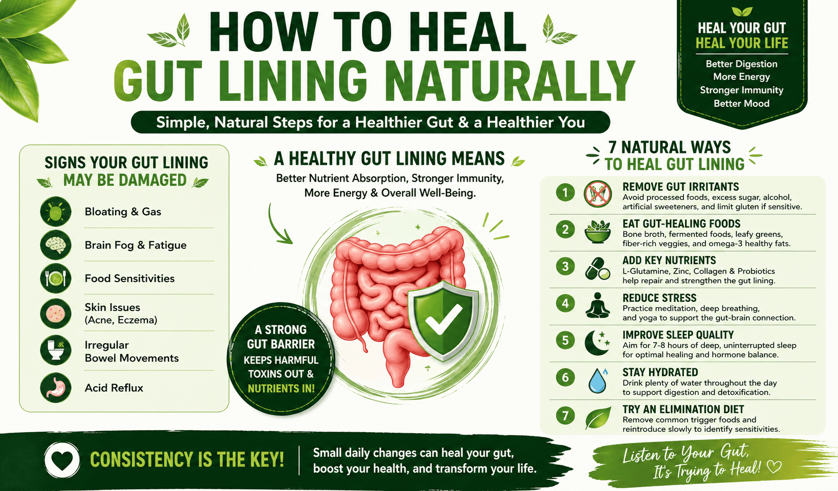 How to heal gut lining naturally?