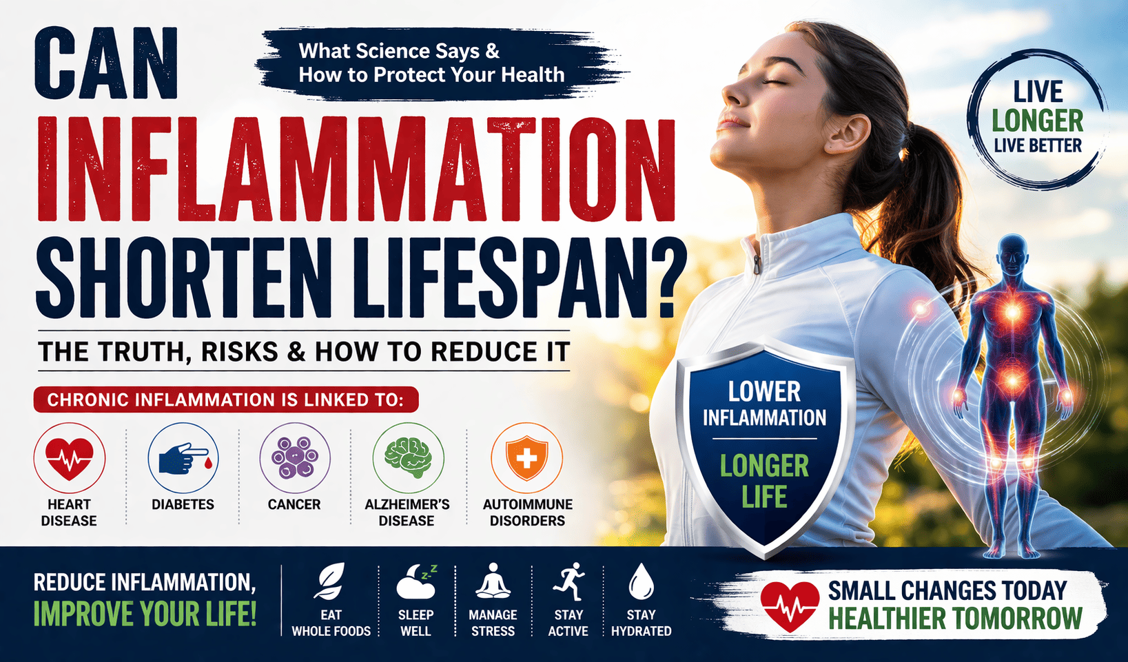 Can inflammation shorten lifespan?