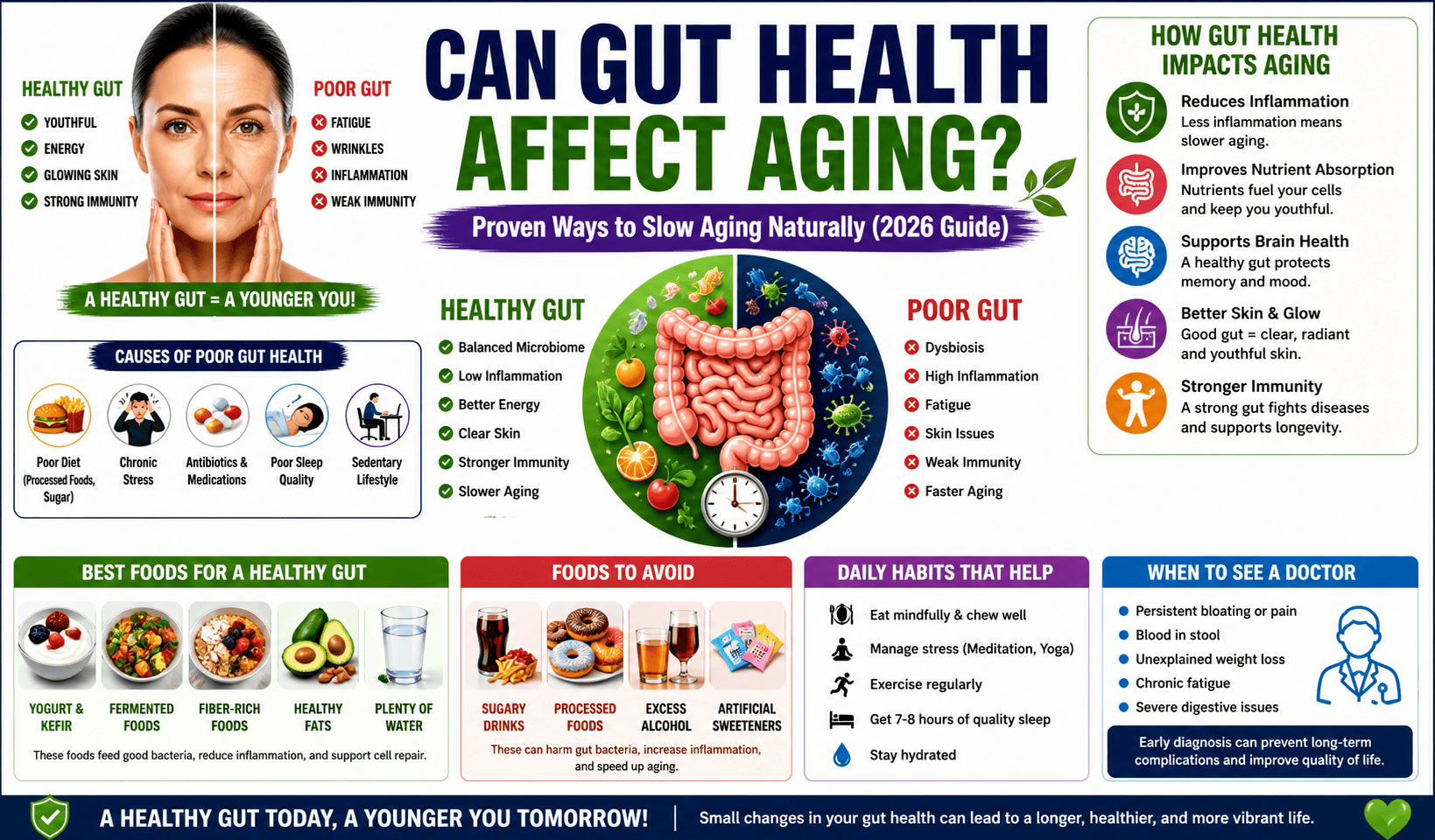 Can gut health affect aging?