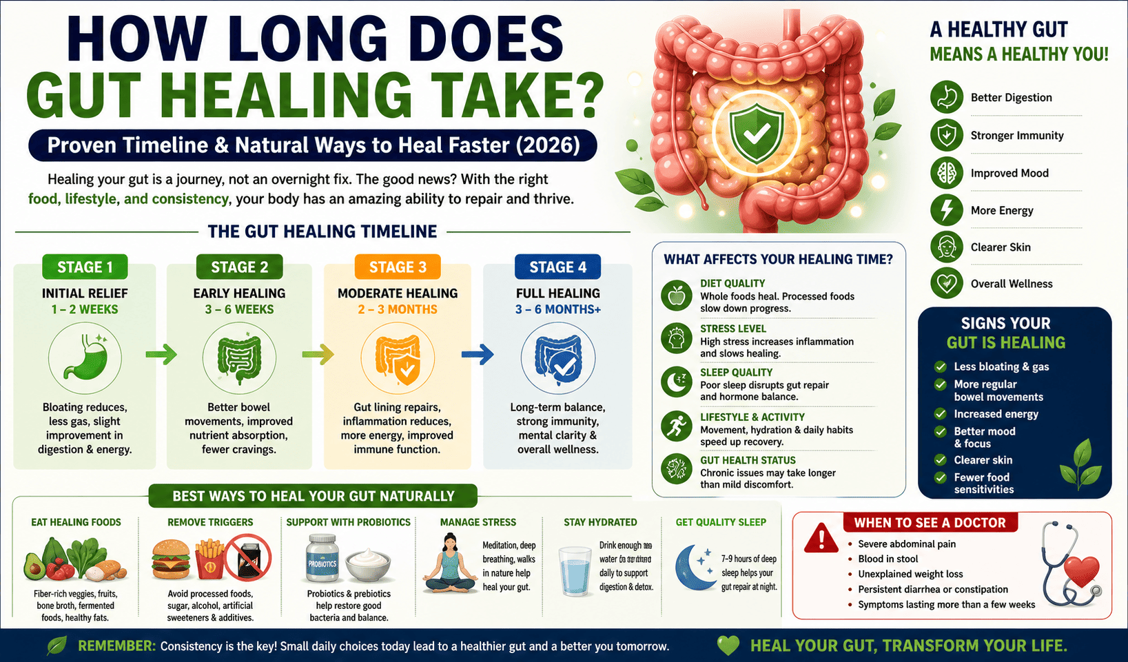 How long does gut healing take?