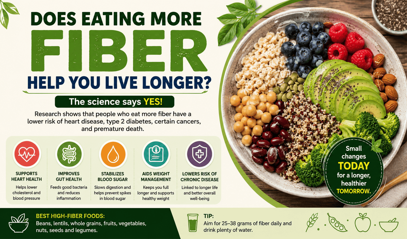 Does Eating More Fiber Help You Live Longer?